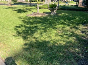 Susan s.'s grass cutting service result