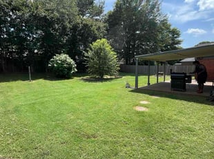 Ken R.'s turf maintenance service result