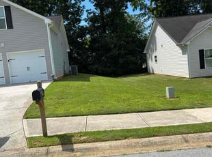 Sean K.'s turf care service result