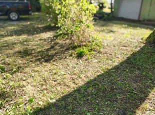 Liz W.'s lawn care services service result