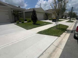 Emily H.'s grass maintenance service result