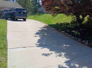 Shantel J.'s yard maintenance service result