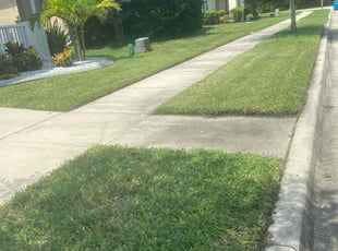 Megan S.'s lawn maintenance service result