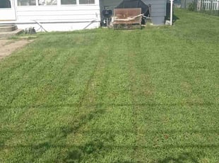 Razel C.'s lawn care service result