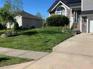 Catherine R.'s grass cutting service result