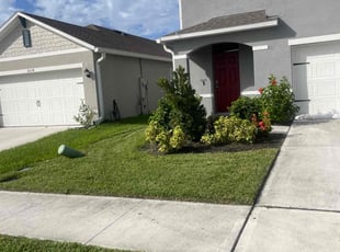 Pedro M.'s lawn service service result