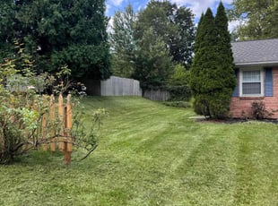 Nicole P.'s lawn service service result