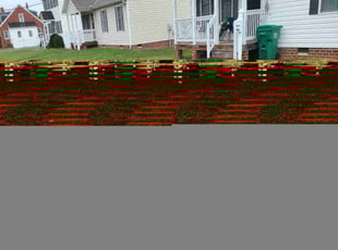 Geetha S.'s grass maintenance service result