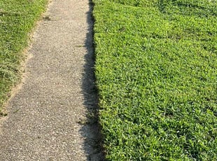Carol B.'s lawn maintenance service result