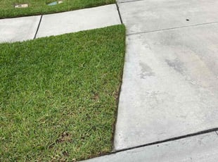 Naresh V.'s lawn maintenance service result