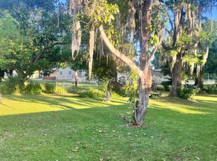 George N.'s lawn service service result