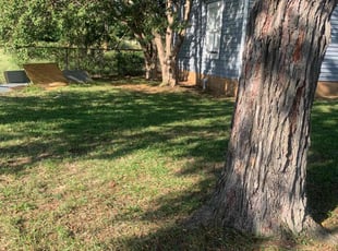 Ana G.'s lawn service service result