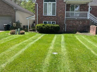 Nanda A.'s landscaping services service result