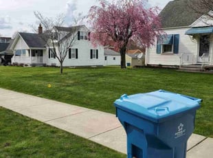 Pete M.'s turf care service result