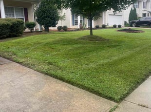 Walterina B.'s lawn care services service result