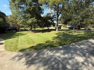 Margie L.'s turf care service result