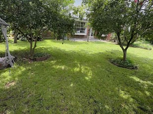 Jason S.'s lawn care service result