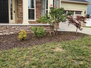 Mary D.'s Bush Trimming service result