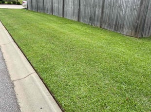Cindy D.'s lawn care service result