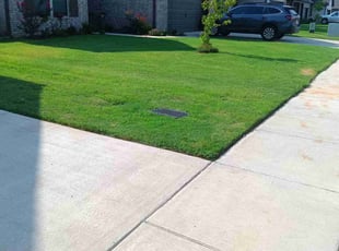 Kevin A.'s grass cutting service result
