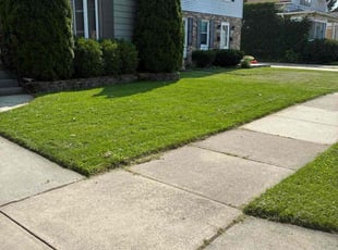 Yukari V.'s lawn service service result