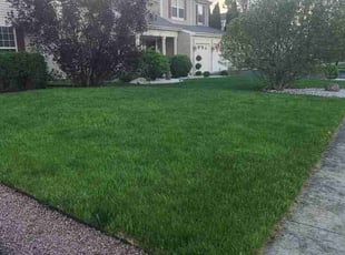 Reginald W.'s lawn care service result
