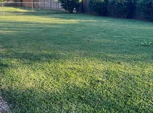 Diane C.'s lawn care services service result