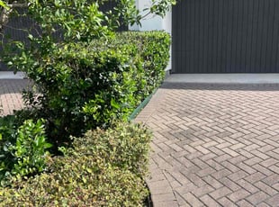 Jamie N.'s Bush Trimming service result