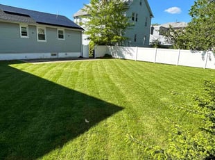 Marchand M.'s turf maintenance service result
