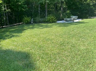 Lynnell L.'s lawn care service result