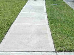 Brittney C.'s lawn care service result