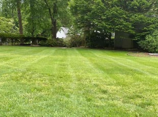 Winston P.'s turf maintenance service result