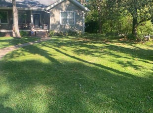 Brenda F.'s lawn care service result
