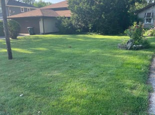 Jeanette M.'s grass cutting service result