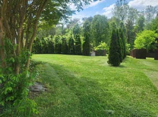 Brooke H.'s lawn care service result