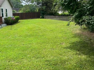 Terry B.'s grass maintenance service result