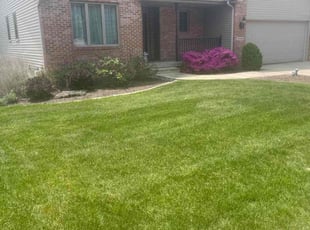 Kim B.'s lawn care services service result