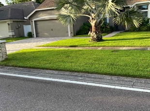 Alessandra M.'s turf maintenance service result