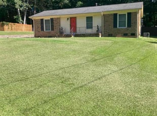 Matthew J.'s grass cutting service result