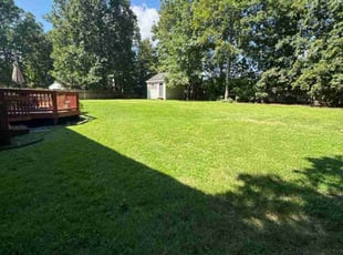 Sean S.'s lawn care services service result