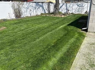 Sally P.'s grass maintenance service result