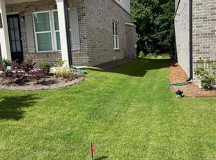 Samuel W.'s lawn care services service result