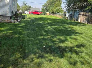 Thomas W.'s grass maintenance service result