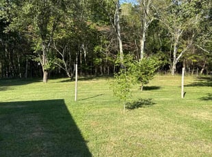 Charles K.'s grass cutting service result