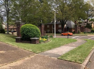 Ron K.'s lawn maintenance service result