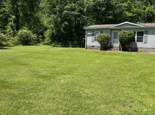 Judy D.'s grass maintenance service result
