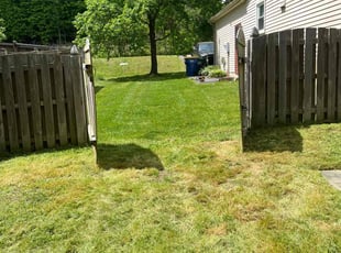 Belita J.'s grass cutting service result