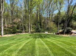 Steven B.'s turf maintenance service result