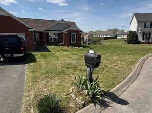 Annette S.'s lawn service service result