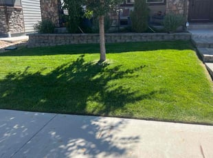 Job J.'s lawn maintenance service result